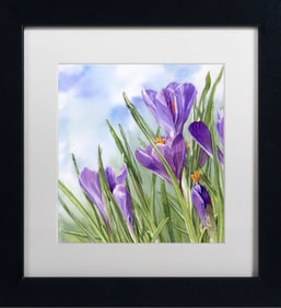 Donna Lesley #6 Crocus Limited-Edition ink on paper hand signed by the estate.