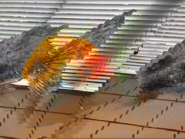 Amanda Brisbane Original Sand Casted Glass Fish Sculpture Original Approx 22 inches long