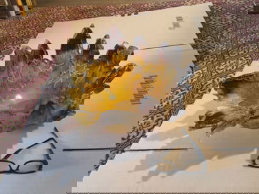 Amanda Brisbane Sand Casted Glass Bowl Sculpture