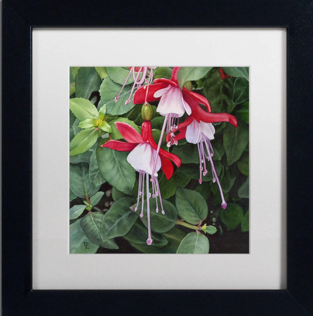 Donna Lesley #23 Red and White Fuchsia Limited Edition ink on paper hand signed by the estate.: Donna Lesley Limited Edition on paper hand signed by the estate. Approx 30x20 inches Hand signed by the Estate and numbered. Includes certificate.