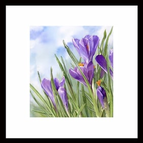 Donna Lesley (1937-2021) Limited Edition Signed ink on paper