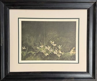 Andrew Wyeth Lithograph first edition 1962 from the original watercolor.