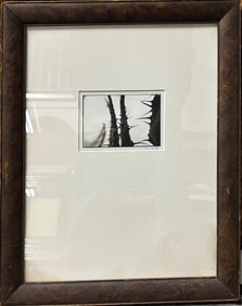 Guido Mocafico Celebrating Thorns Hand signed photograph