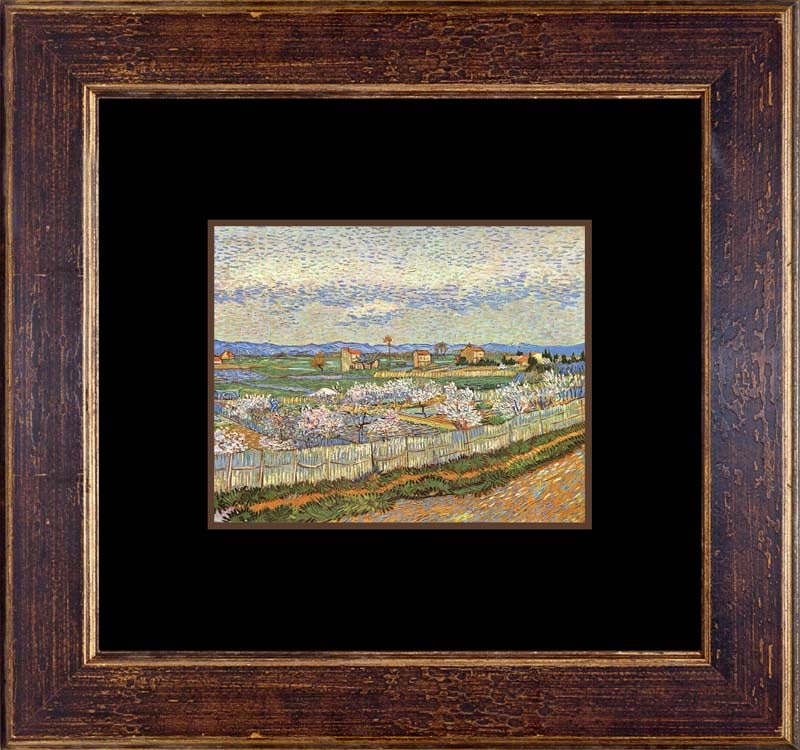 Vincent Van Gogh Color hand embellished canvas after Van Gogh: Vincent Van Gogh Color hand embellished canvas after Van Gogh The signature is in the plate. Approx 24x20 inches. Professionally framed. Includes certificate of authenticity.