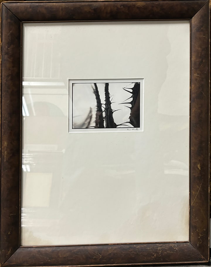 Guido Mocafico Celebrating Thorns Hand signed photograph: Guido Mocafico Celebrating Thorns Hand signed photograph step