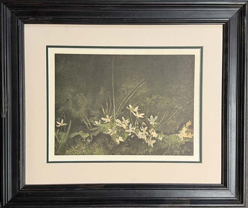 Andrew Wyeth Lithograph first edition 1962 from the Original Watercolor Painting. (1 of 1)