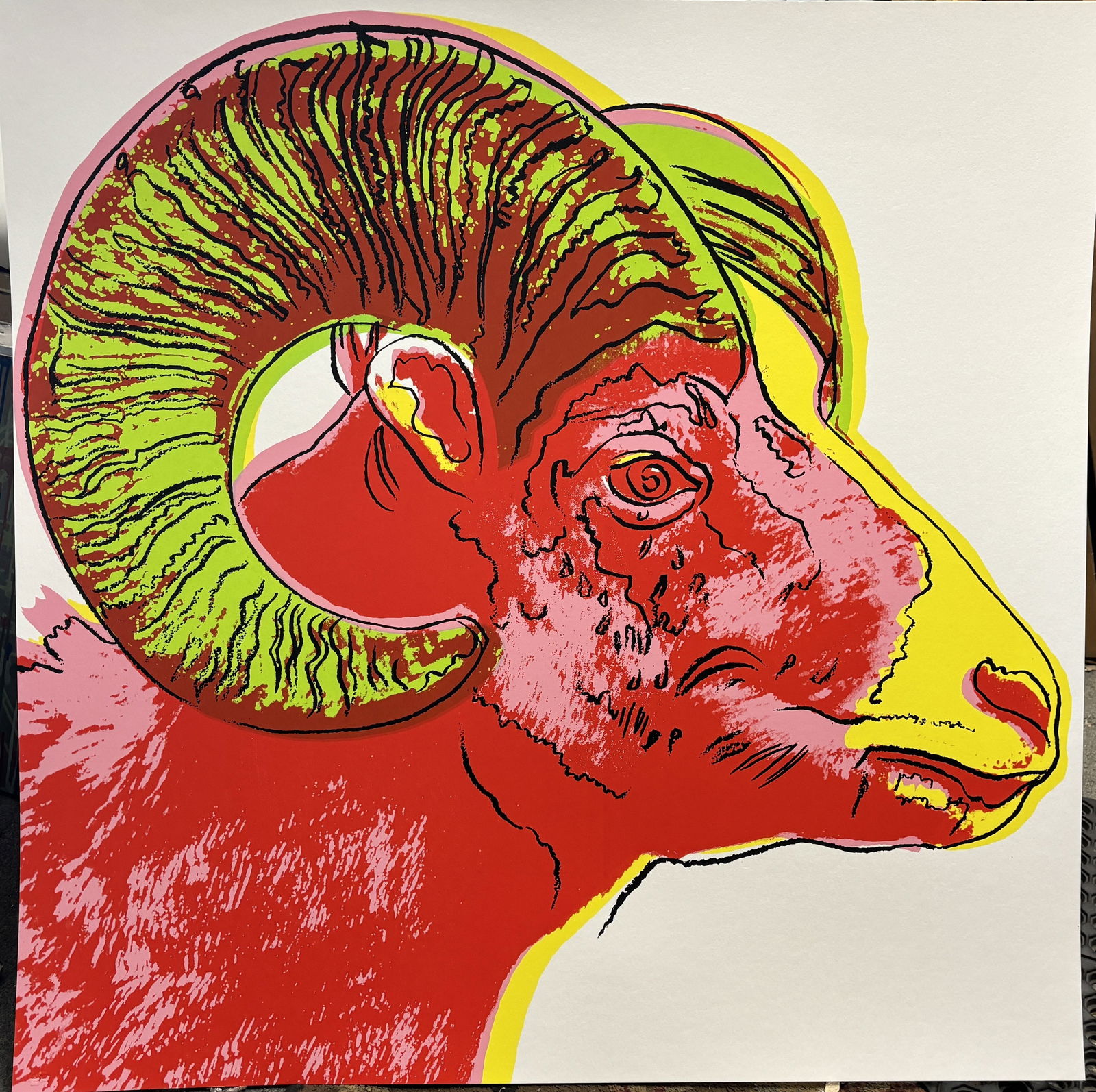 Andy Warhol (American 1928-1987) The Ram Serigraph 38x38 inches: Andy Warhol (American 1928-1987) Andy Warhol Bighorn Ram. Serigraph Screen print and Colophon. 1983. Approx 38x38 inches. Includes Certificate of Authenticity. This working trial proof was made outsid