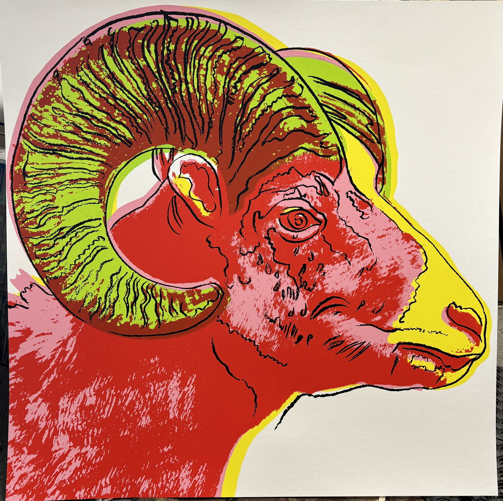 Andy Warhol (American 1928-1987) The Ram Serigraph 38x38 inches: Andy Warhol (American 1928-1987) Andy Warhol Bighorn Ram. Serigraph Screen print and Colophon. 1983. Approx 38x38 inches. Includes Certificate of Authenticity. This working trial proof was made outsid