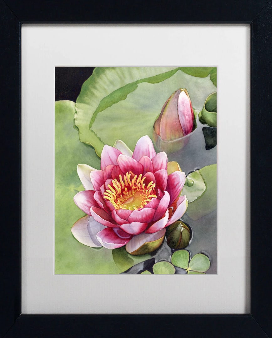 Donna Lesley (American 1940-2010) #30 Water Lily #1 Limited Edition ink on paper hand signed by the (1 of 1)