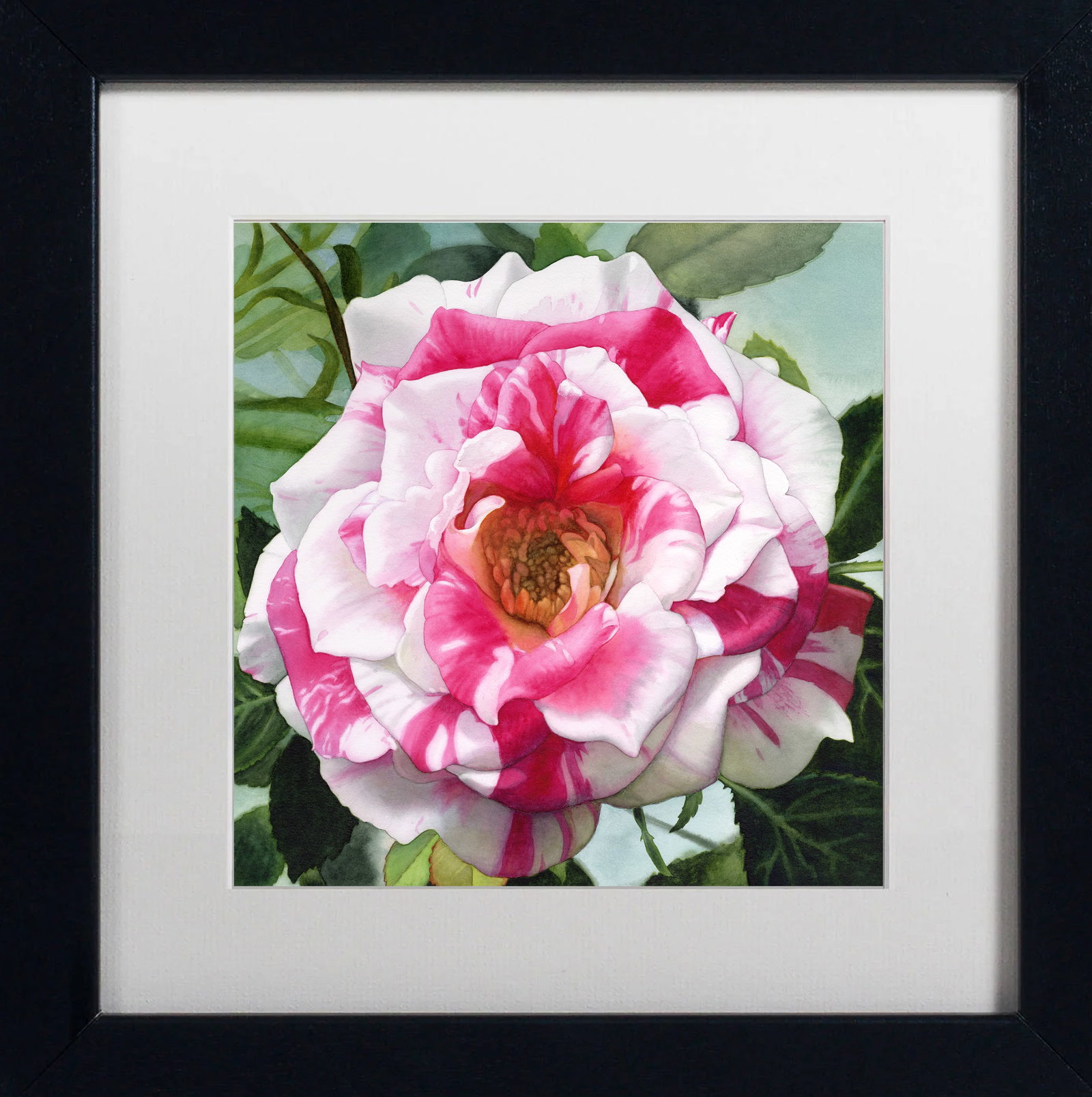 Donna Lesley (American 1940-2010) #63 Candy Cane Rose. Limited Edition ink on paper hand signed by: Donna Lesley (American 1940-2010) Limited Edition on paper hand signed by the estate. Approx 30x20 inches. Hand signed by the Estate and numbered. Includes Certificate of Authenticity. Art Artwork Art