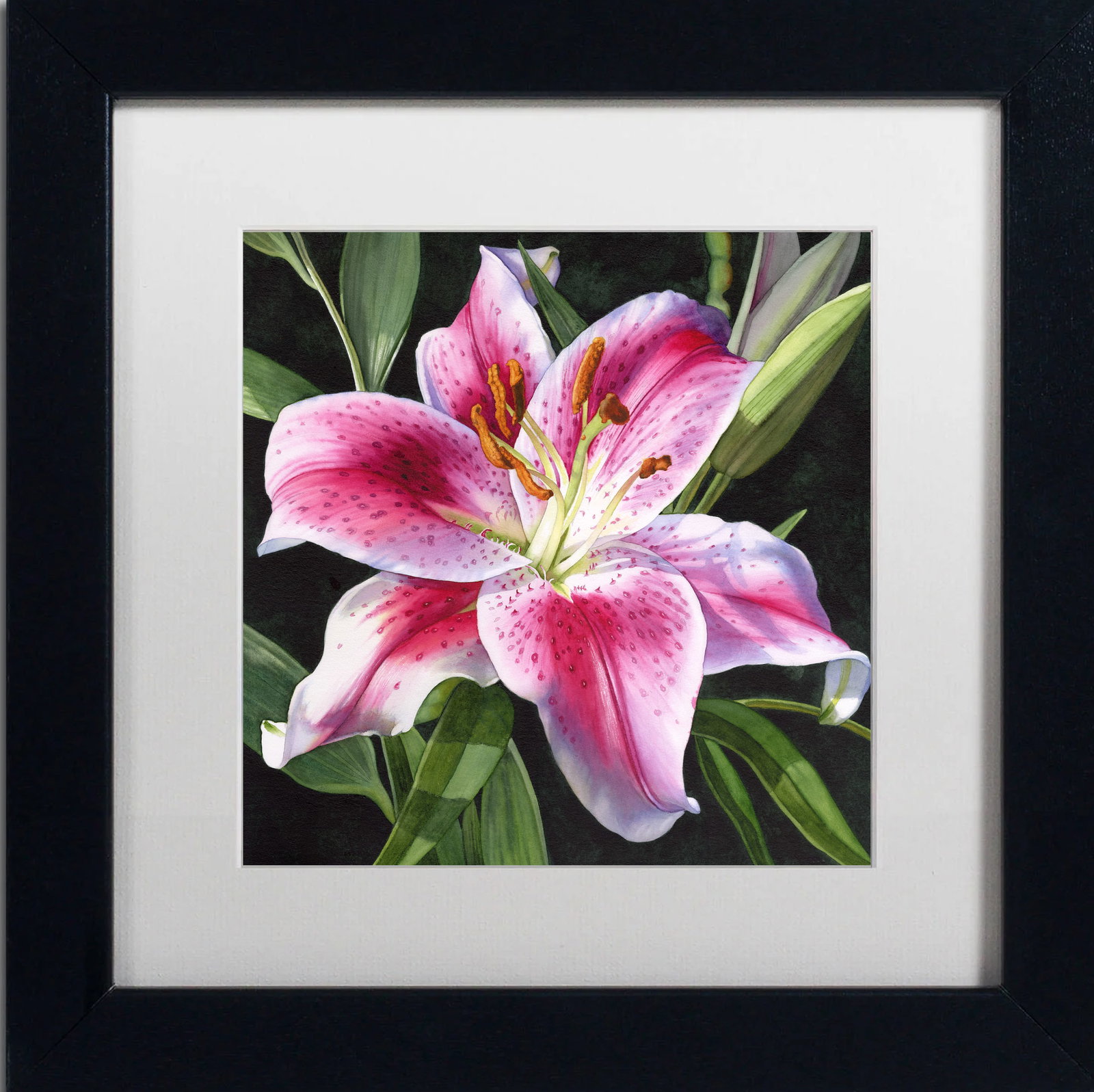 Donna Lesley (American 1940-2010) Limited Edition #11 Stargazer Lily ink on paper hand signed by the (1 of 1)