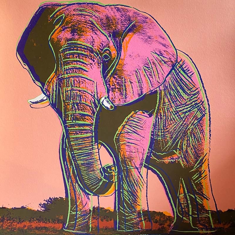 Andy Warhol (American, 1928-1987) Serigraph Screen print African Elephant 1983 from the Endangered (1 of 1)