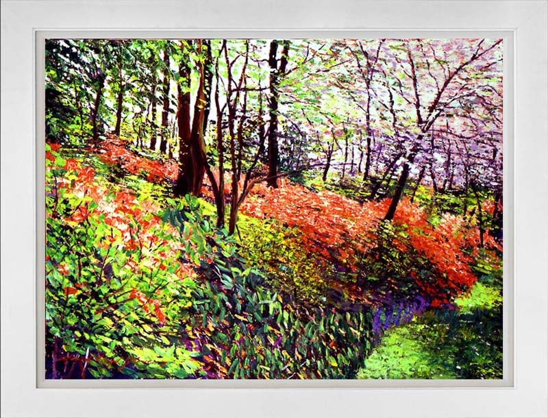 David Lloyd Glover (American 1949) Magic Flower Forest Serigraph Limited Edition by David Lloyd: Limited Edition Serigraph hand signed and numbered by David Lloyd Glover. Hand signed by the artist. Approx image size 30x24 inches. Custom framed and includes certificate This work was purchased