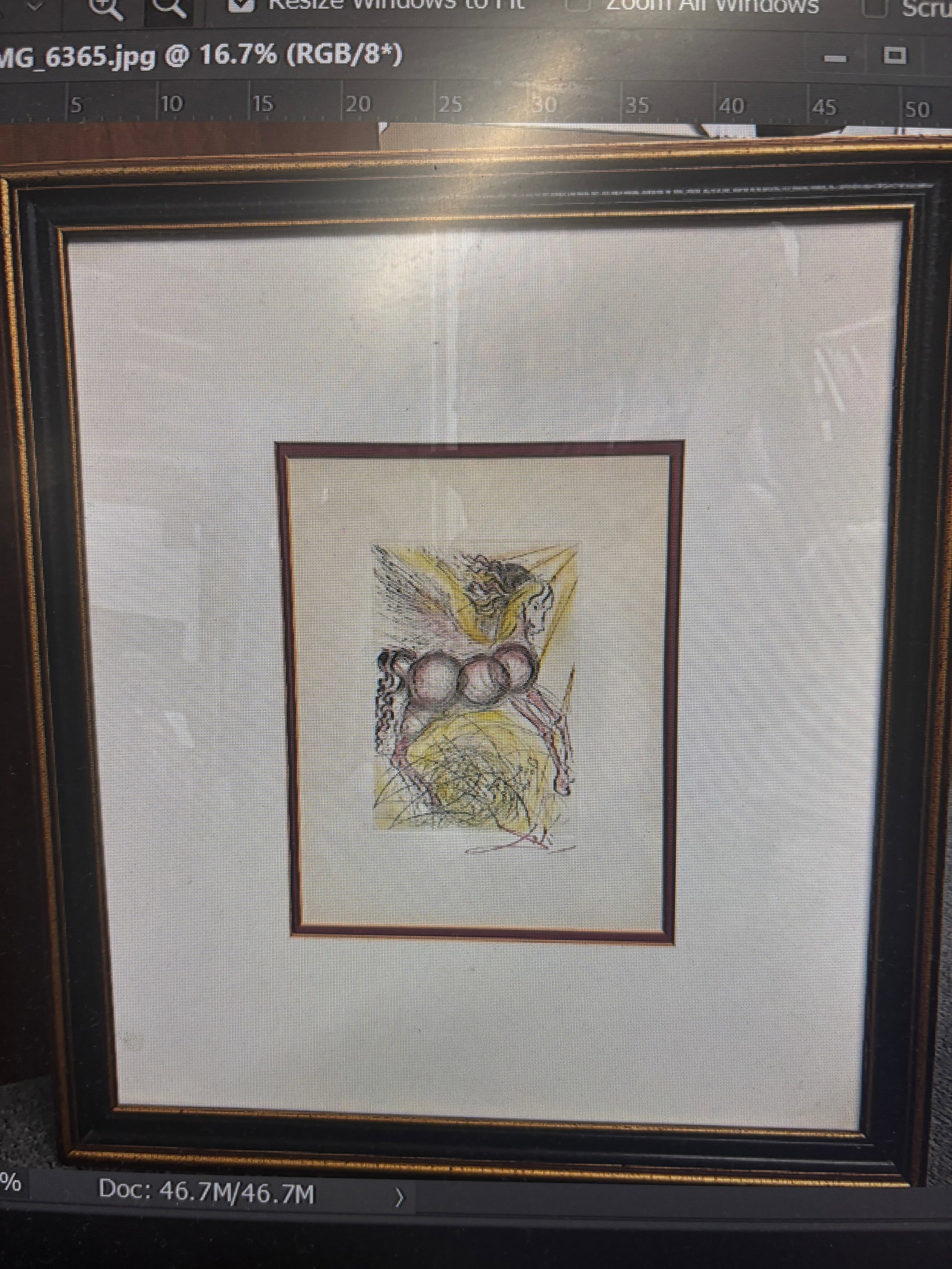 Salvador Dali Etching Hand signed and numbered (1 of 1)
