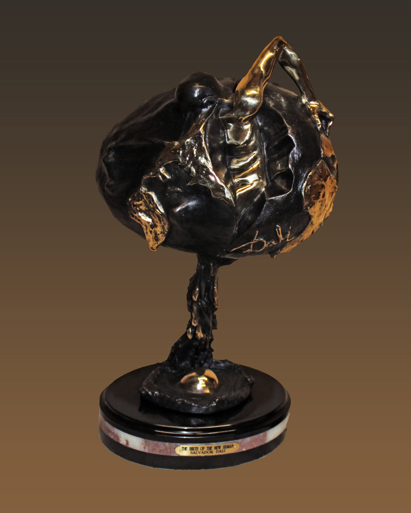 Salvador Dali (Spanish 1904-1989) Birth of a Human Patinated Bronze Sculpture: Salvador Dali (Spanish 1904-1989) Birth of a Human Patina Bronze Sculpture signed Salvador Dali in the cast. Approx 30 inches tall. Created with the lost wax method. Inspired by Salvador's Dalis Paint