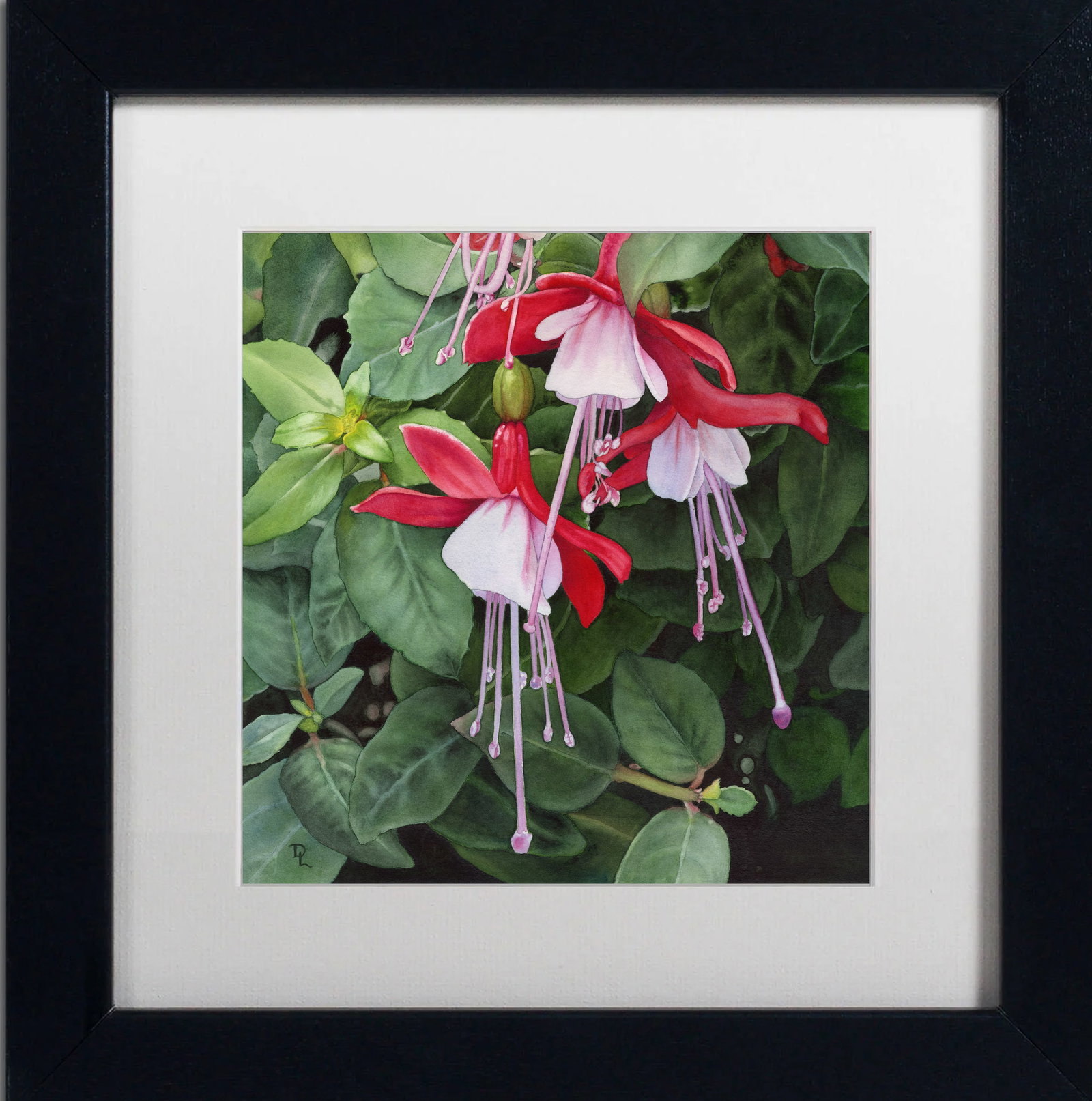 Donna Lesley (American 1940-2010) #23 Red and White Fuchsia Limited Edition ink on paper hand signed (1 of 1)