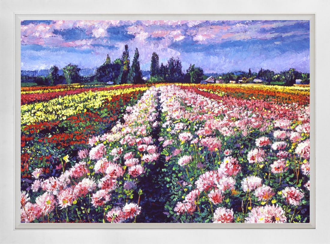 David Lloyd Glover (American 1949) Fields of Dahlias Original Mixed Media Painting on canvas David: Fields of Dahlias Original Mixed Media Painting on canvas David Lloyd Glover On canvas. Approx image size 24 x18 inches. Custom framed and includes certificate. This work was purchased directly from