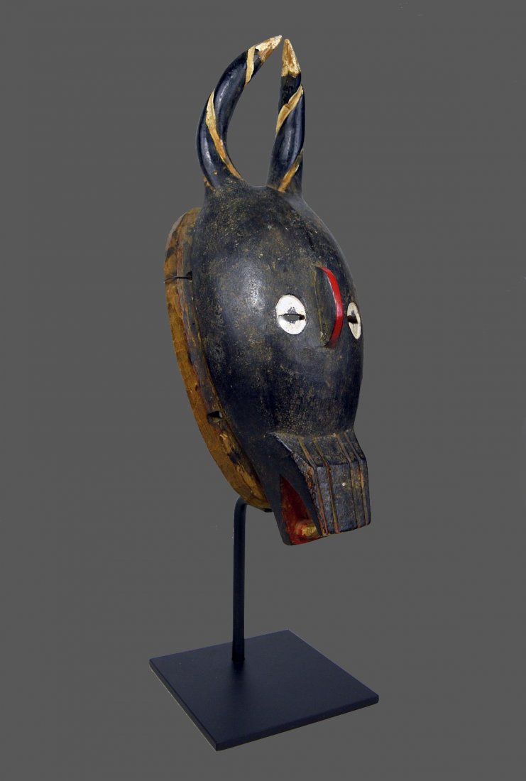 VINTAGE BAULE BUSHCOW MASK: A carved wooden mask with stylized zoomorphic form,painted in red,black and white. The back and edges all show wear and handling. Baule peoples, Cote D'ivoire, West Africa. The mask measures 14 x 5.5