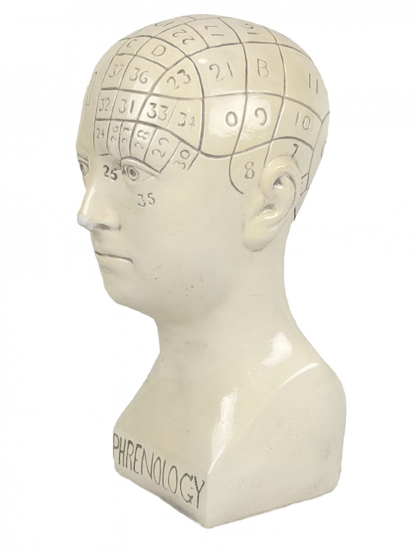 Vintage Phrenology Head Bust Oddities Collectible (1 of 9)