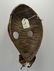 A Dan Zakpai Racer mask, African Art - 6