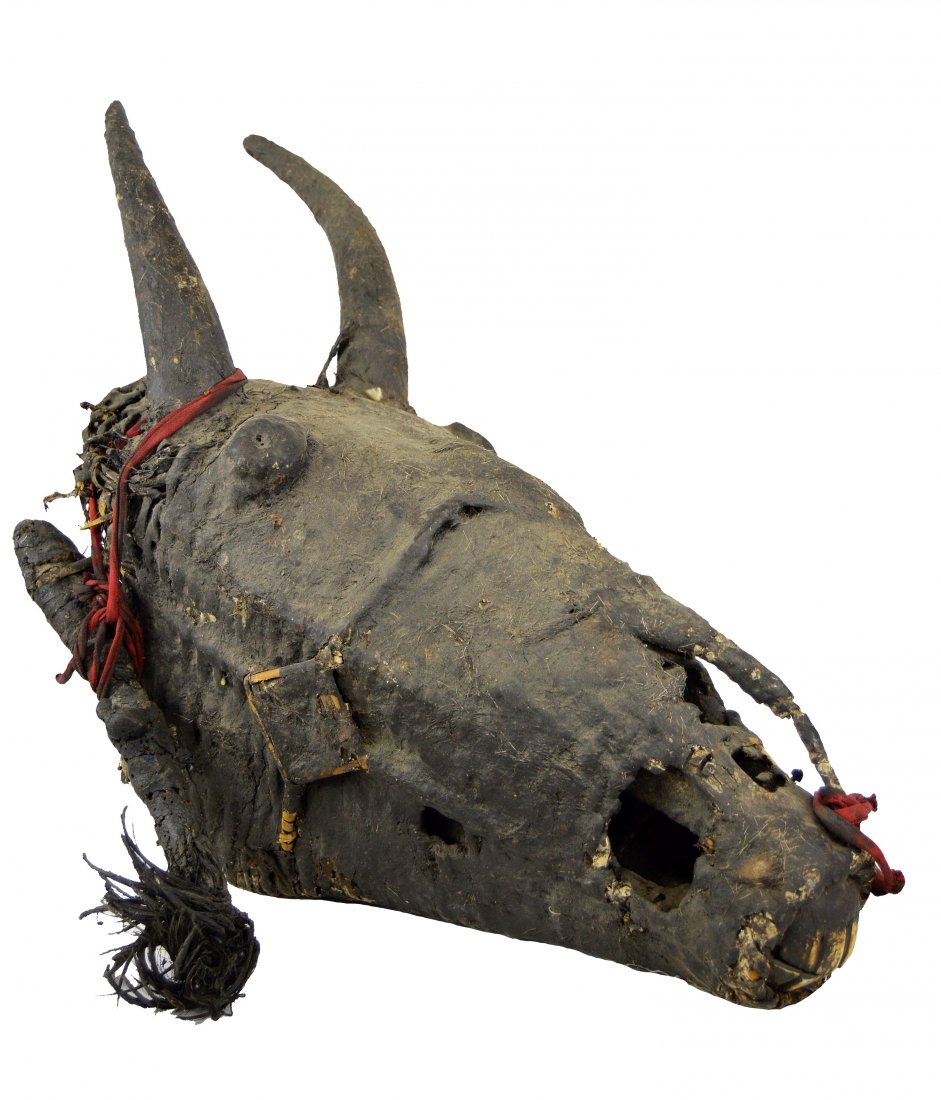 A Rare Igbo Izzi Horse Skull Reliquary Shrine Object (1 of 9)