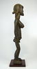 Rare Sweating Toma Female Shrine Idol Ex Allan Stone - 10