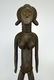 Rare Sweating Toma Female Shrine Idol Ex Allan Stone - 3
