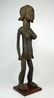 Rare Sweating Toma Female Shrine Idol Ex Allan Stone - 4