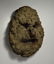 Rare Nepal Fungus mask, Rai peoples, Middle Hills Nepal - 3