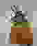 item-87992555=5