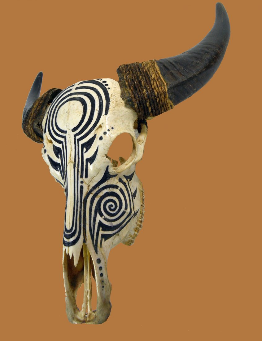 Carved Cow / Bull Skull Collected 1984 Bali, Indonesia (1 of 6)