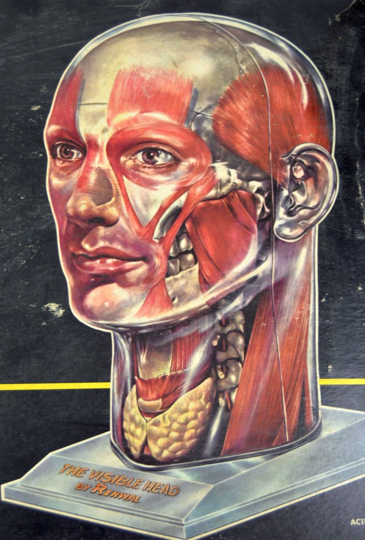 Rare Vintage 1961 Visible Head Assembly Kit in Box (1 of 7)