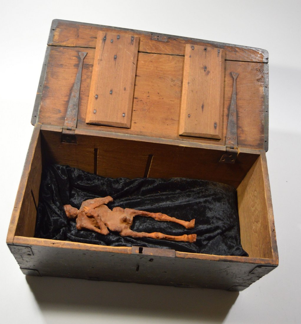 Bizarre Miniature Alien Corpse Oddities Museum display (1 of 9)