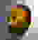 item-102213371=4
