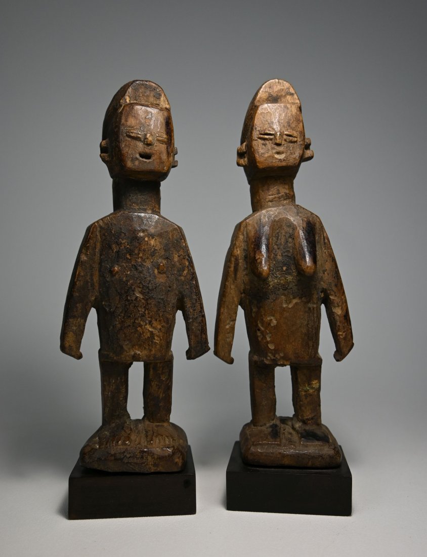 A pair of Ewe Venavi Twins Ex Dr Jean & Noble Endicott (1 of 5)