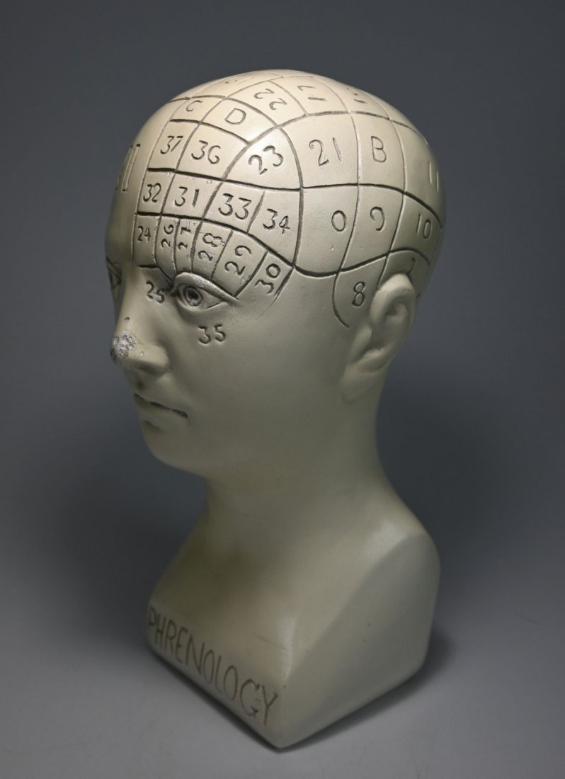 A Vintage Phrenology Bust made of Chalkware (1 of 10)