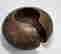 item-121595657=2
