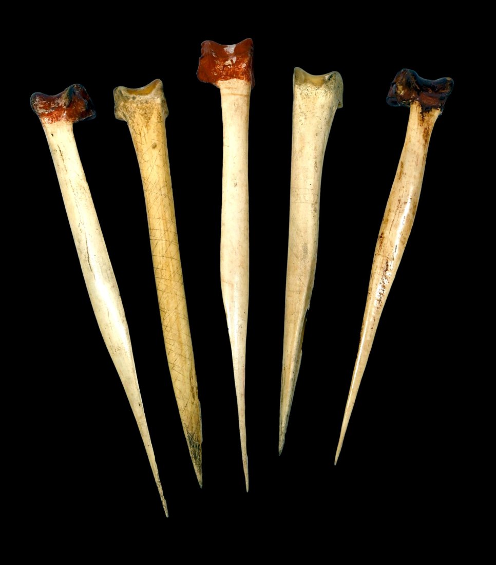 Lot of Five Fly River Bone Daggers: 5 bone daggers, Suki or Zemakani peoples, Middle Fly River, Western Province, Papua New Guinea. Of typical form for the region, three of the daggers bearing reddened tops as was traditional among the