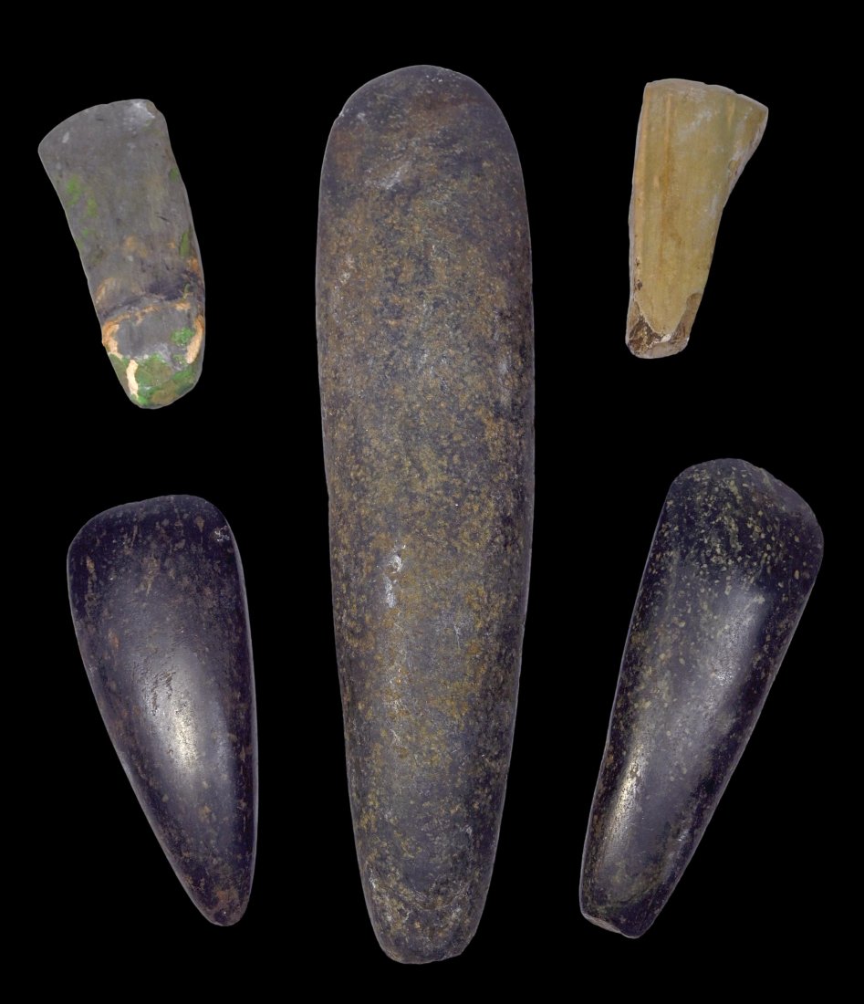 A Group of Five Stone Axe Heads (1 of 1)