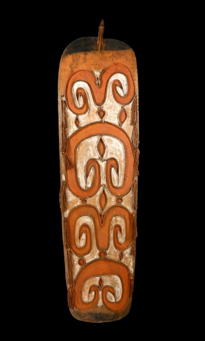 A Fine Asmat Shield (1 of 4)