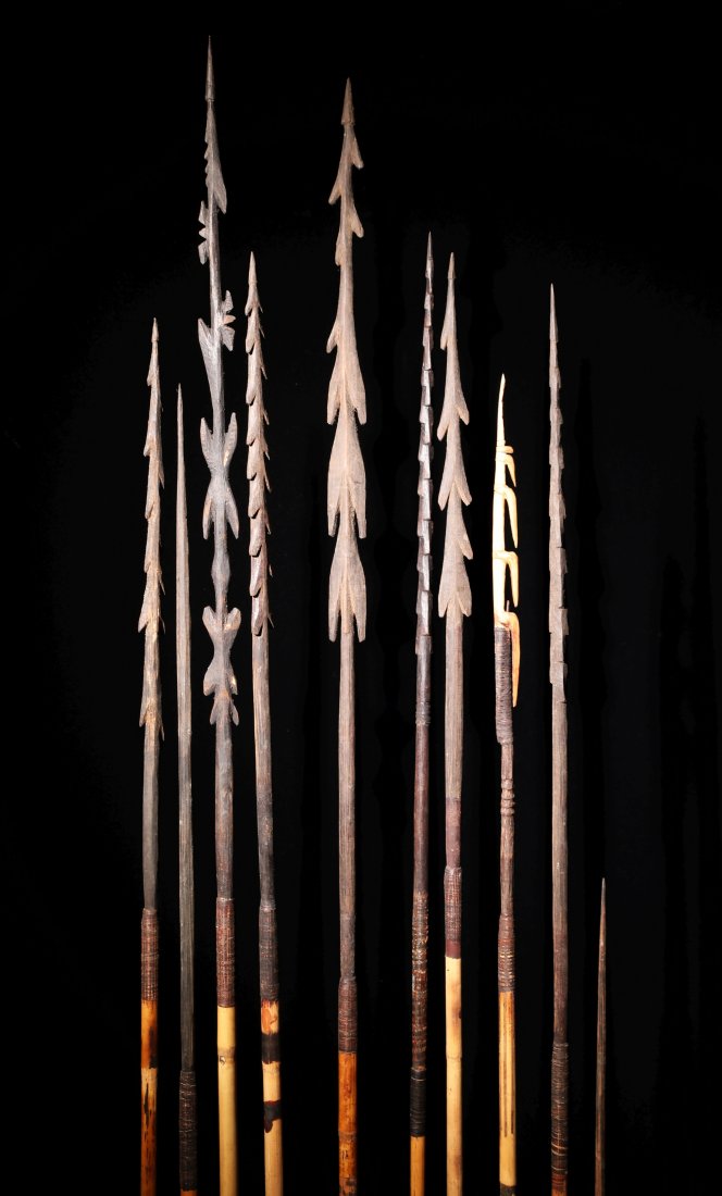 Group of 10 Kiwai Island Arrows (1 of 1)