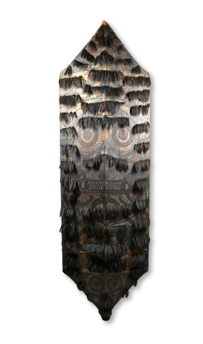 A Fine and Rare Dayak War Shield (1 of 7)