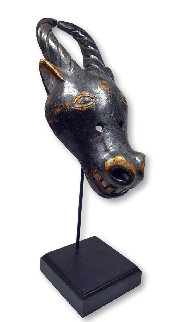 A Bush Cow Ceremonial Mask from Cameroon: A carved wooden zoomorphic ceremonial dance mask in the form of a sacred Bushcow, with twisted horns, flared nostrils and a well worn surface patina. Bamenda or related ethnic group, Cameroon, West Af