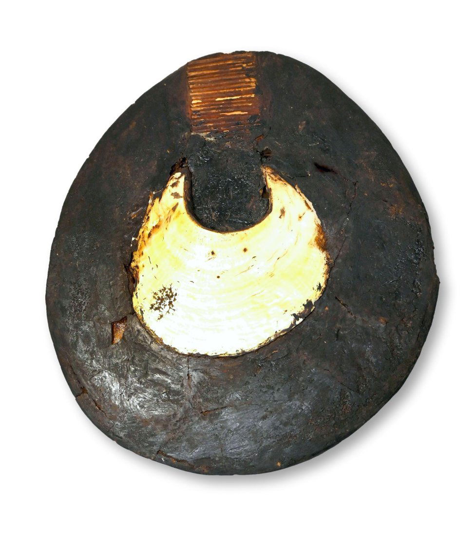 Rare Moka Kina Breast Plate from Papua New Guinea (1 of 1)