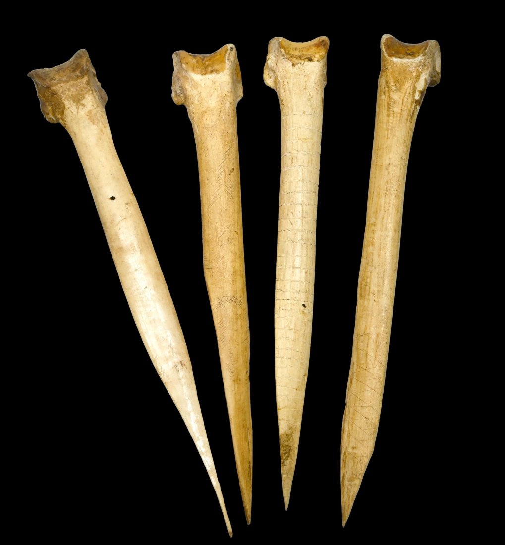 Lot of Four Suki Bone Daggers: Four bone daggers, Suki or Zemakani peoples, Middle Fly River, Western Province, Papua New Guinea. Of typical form for the region, three of the daggers bearing reddened tops as was traditional among t