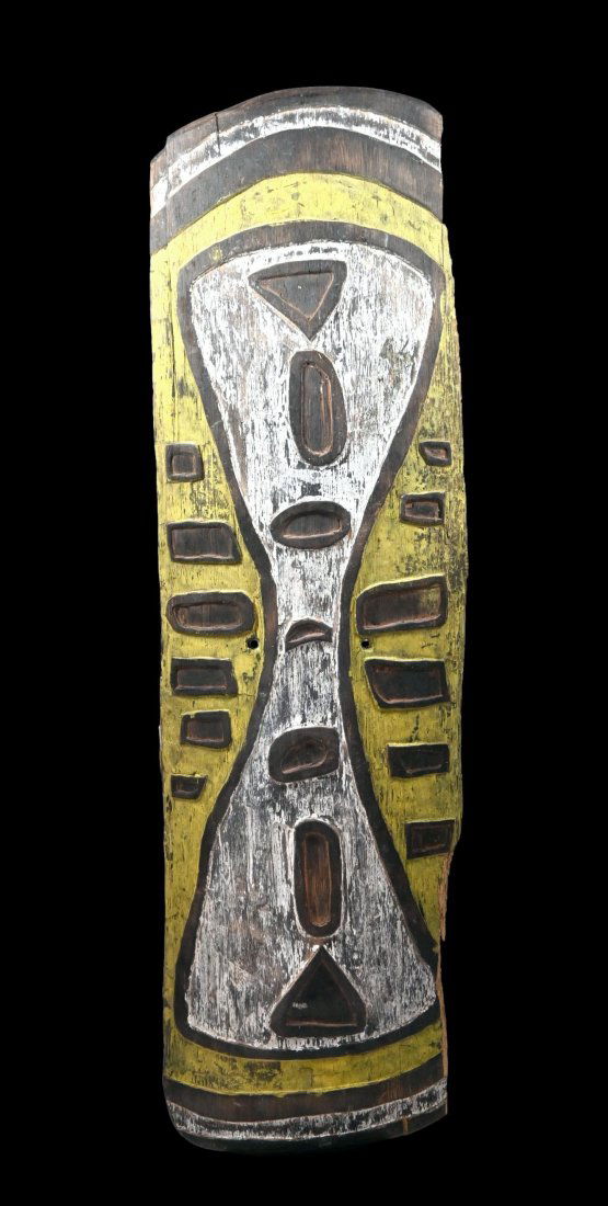 Unusual Upper Fly River Shield (1 of 6)