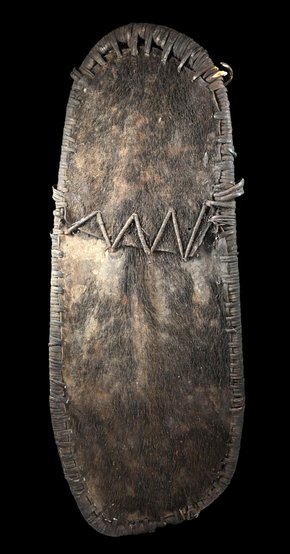 Field Used Washkuk Pig Skin Shield: A Washkuk Pig-Skin shield. Nkuma Washkuk, East Sepik Province, Papua New Guinea. Of typical form, the shield made of heavy cane bent into an oval shape and pig skin, with fur still attached tied to it