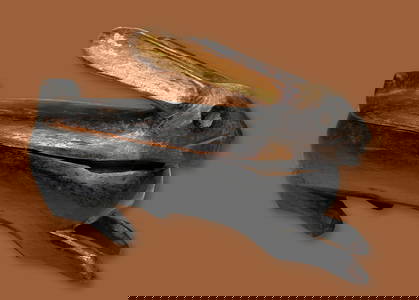 A Lozi Rabbit Container Field Collected