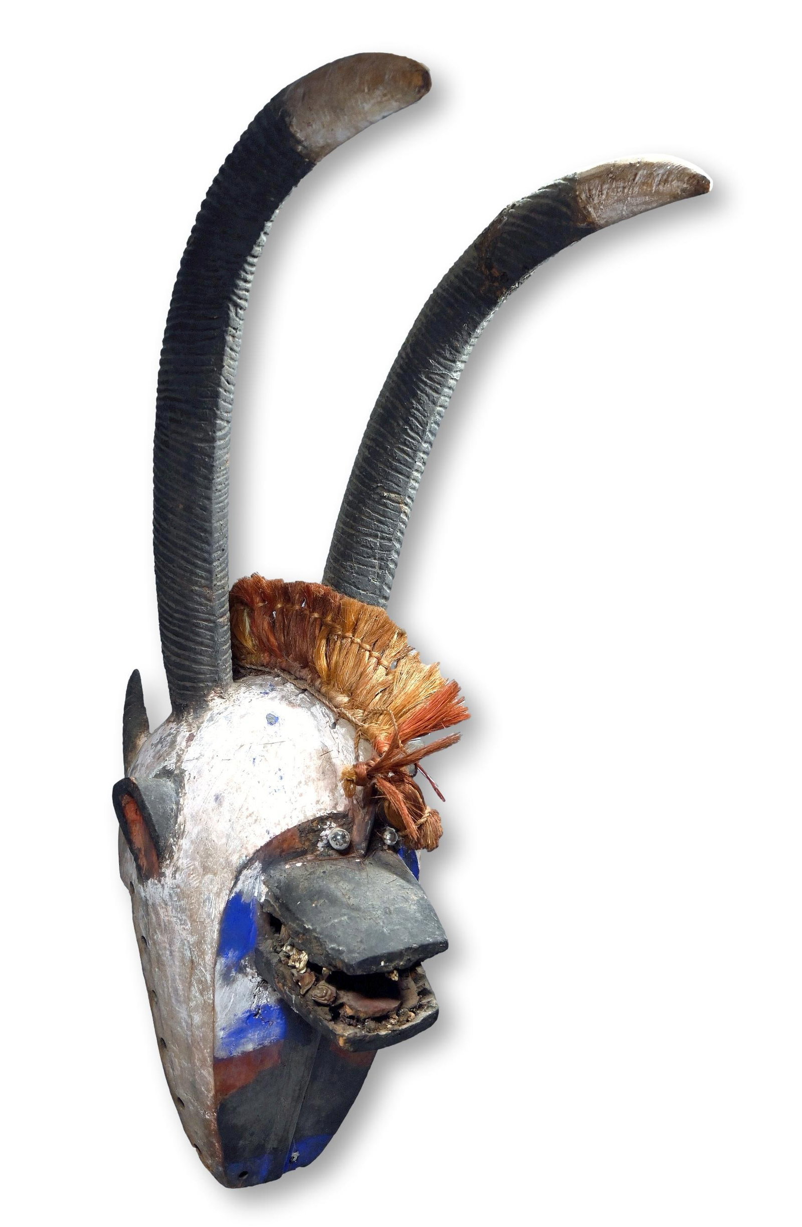 A Large Horned Bobo Mask Ex Don Nice Collection: A large and dramatic carved wooden ceremonial mask with long tall horns and a art Brut like presence, glass marble eyes, indigo pigments, grass regalia and inset animal teeth. The mask measures 32 inc