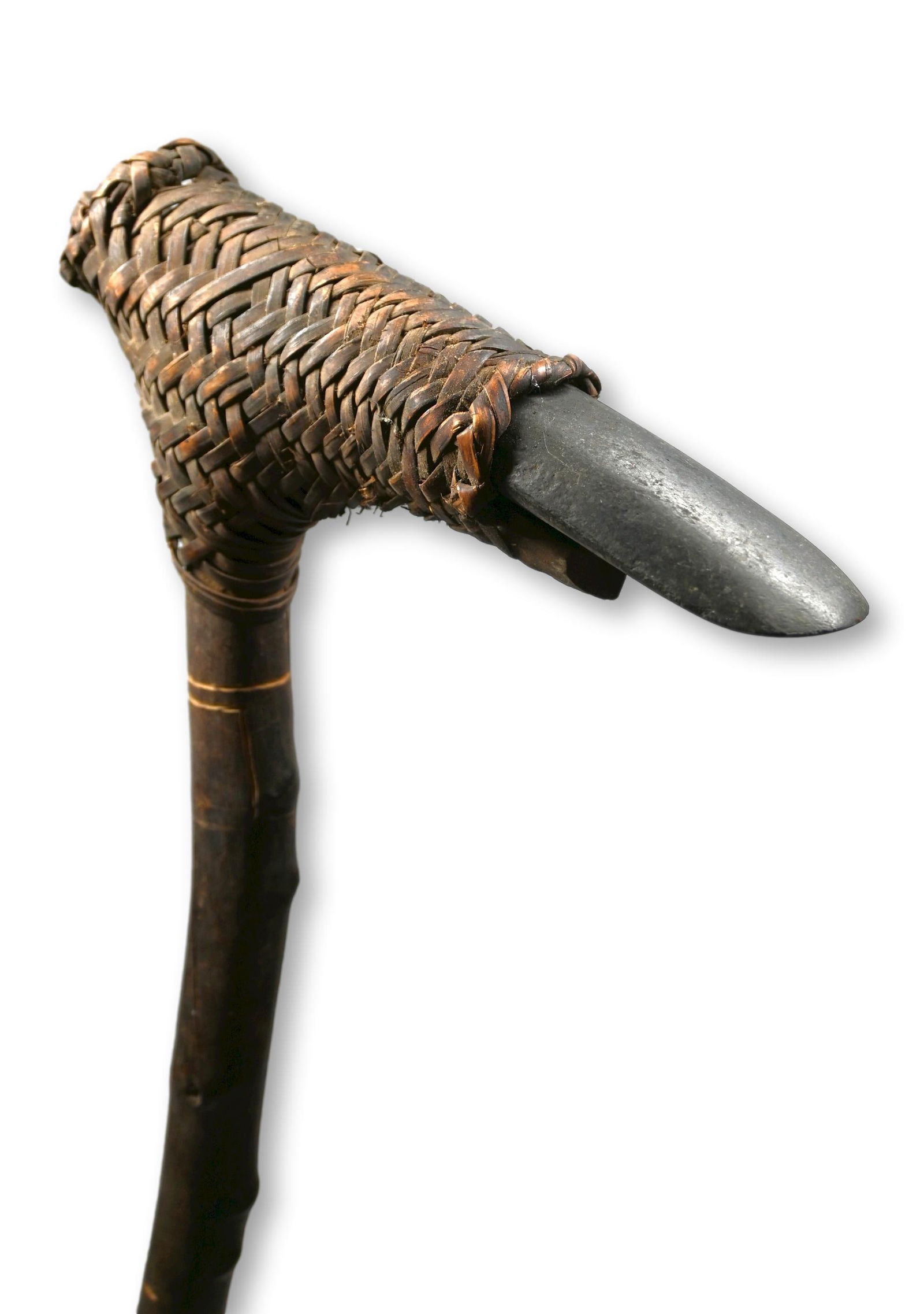 A Rare Strickland River Adze Papua New Guinea (1 of 6)